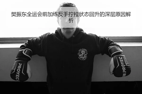 樊振东全运会前加练反手拧拉状态回升的深层原因解析